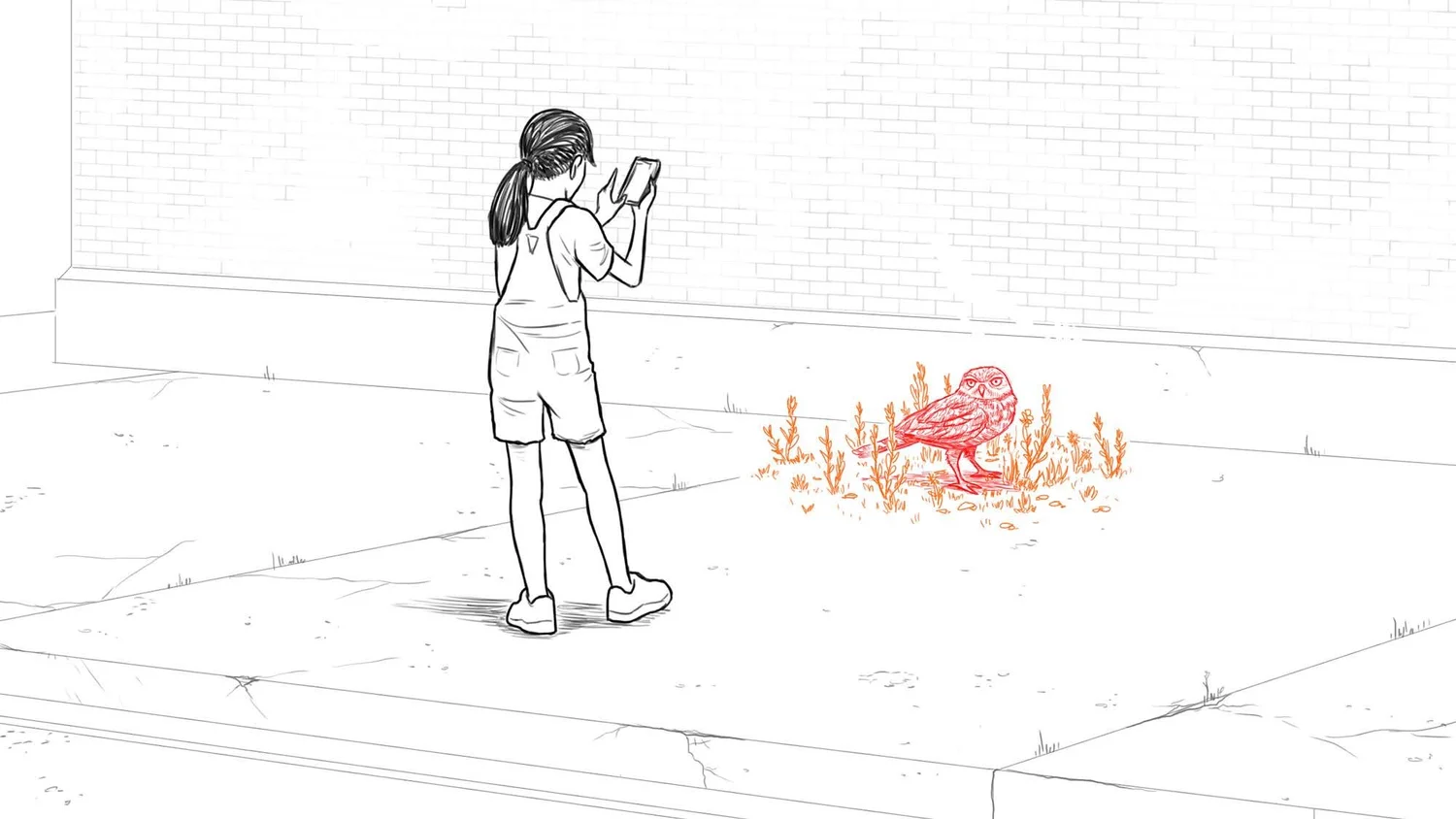 Discover and collect mockup